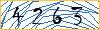 Type the numbers that you see in the picture