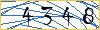 Type the numbers that you see in the picture