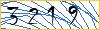Type the numbers that you see in the picture