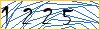 Type the numbers that you see in the picture