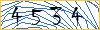 Type the numbers that you see in the picture