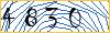 Type the numbers that you see in the picture
