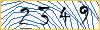 Type the numbers that you see in the picture