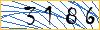 Type the numbers that you see in the picture