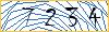 Type the numbers that you see in the picture
