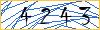 Type the numbers that you see in the picture
