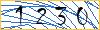 Type the numbers that you see in the picture
