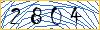 Type the numbers that you see in the picture
