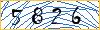Type the numbers that you see in the picture