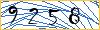 Type the numbers that you see in the picture
