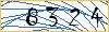 Type the numbers that you see in the picture