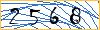 Type the numbers that you see in the picture