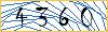 Type the numbers that you see in the picture