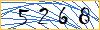 Type the numbers that you see in the picture