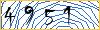 Type the numbers that you see in the picture