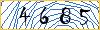 Type the numbers that you see in the picture