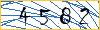 Type the numbers that you see in the picture