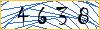 Type the numbers that you see in the picture