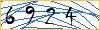 Type the numbers that you see in the picture