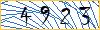 Type the numbers that you see in the picture