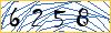 Type the numbers that you see in the picture