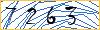 Type the numbers that you see in the picture