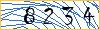 Type the numbers that you see in the picture