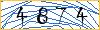 Type the numbers that you see in the picture