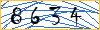 Type the numbers that you see in the picture