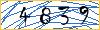 Type the numbers that you see in the picture