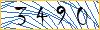 Type the numbers that you see in the picture