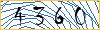 Type the numbers that you see in the picture