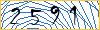 Type the numbers that you see in the picture
