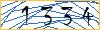Type the numbers that you see in the picture