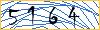 Type the numbers that you see in the picture
