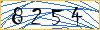Type the numbers that you see in the picture