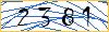 Type the numbers that you see in the picture