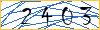 Type the numbers that you see in the picture