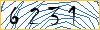 Type the numbers that you see in the picture