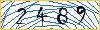 Type the numbers that you see in the picture