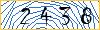Type the numbers that you see in the picture