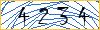 Type the numbers that you see in the picture