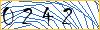 Type the numbers that you see in the picture