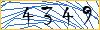 Type the numbers that you see in the picture