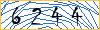 Type the numbers that you see in the picture