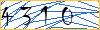 Type the numbers that you see in the picture