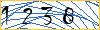 Type the numbers that you see in the picture