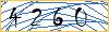 Type the numbers that you see in the picture