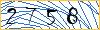 Type the numbers that you see in the picture