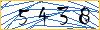 Type the numbers that you see in the picture